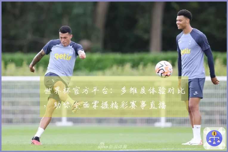 世界杯官方平台：多维度体验对比，助你全面掌握精彩赛事直播