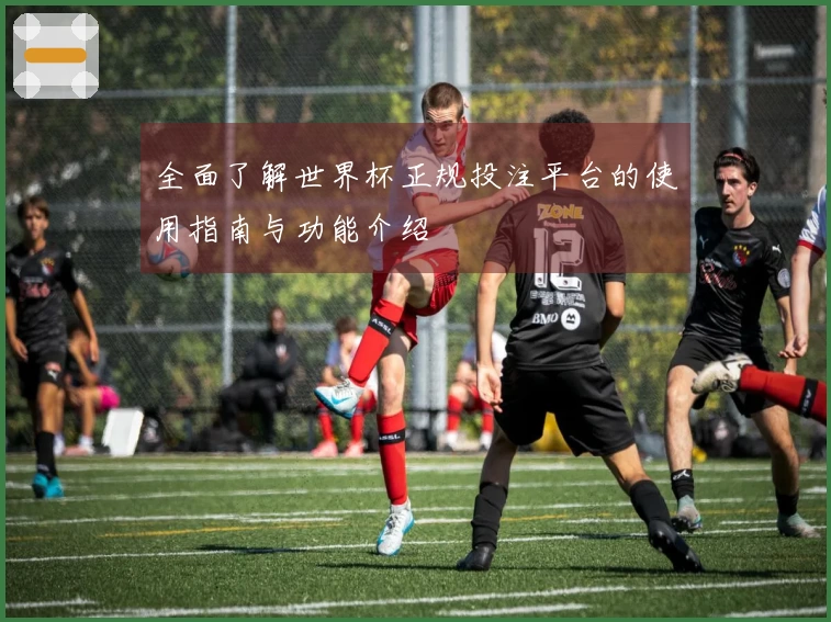 全面了解世界杯正规投注平台的使用指南与功能介绍