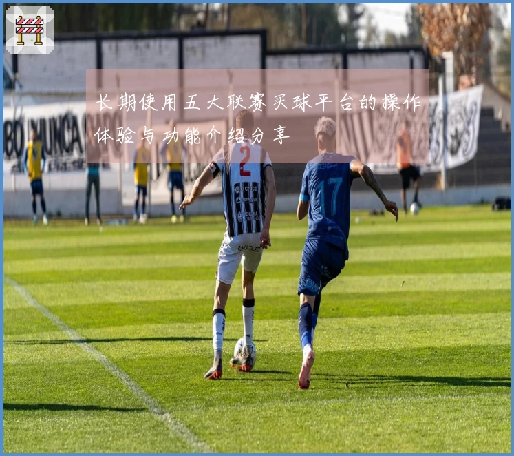 长期使用五大联赛买球平台的操作体验与功能介绍分享