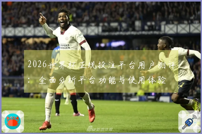 2026世界杯正规投注平台用户测评：全面分析平台功能与使用体验