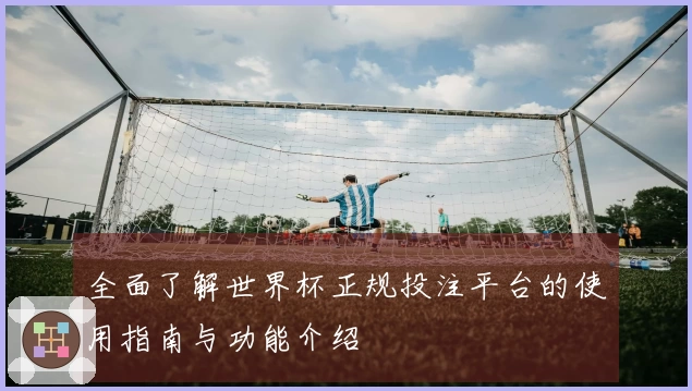 全面了解世界杯正规投注平台的使用指南与功能介绍